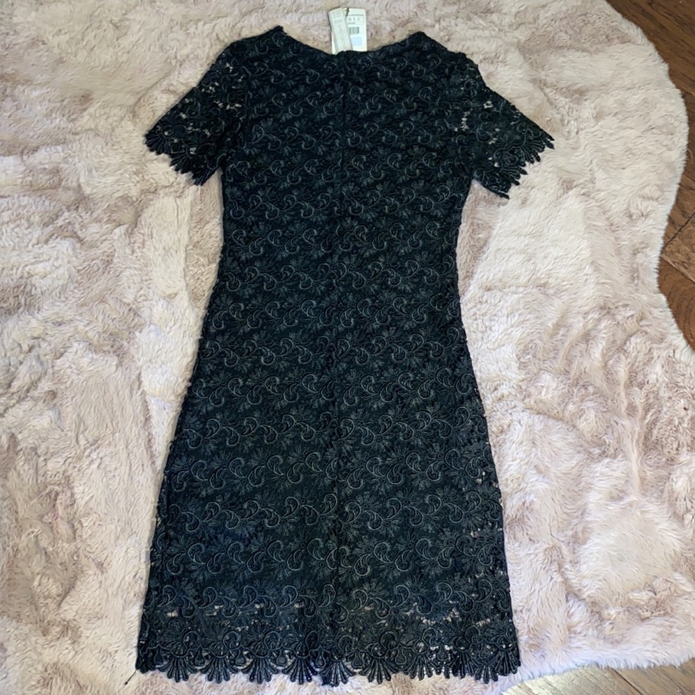 Zara Collection black lace shortsleeve dress cocktail wedding dressy NWT Small​​ - Picture 2 of 15